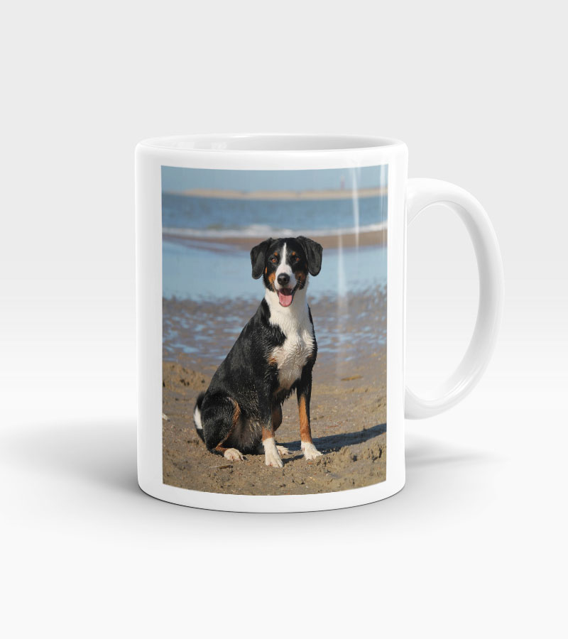 personalised mugs